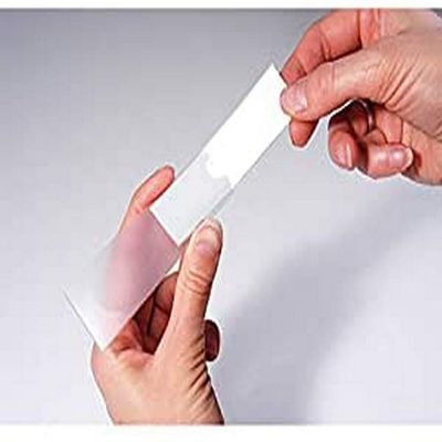 Kangaro Self-Adhesive Label Holders, 25 x 75 mm, 12-Pack
