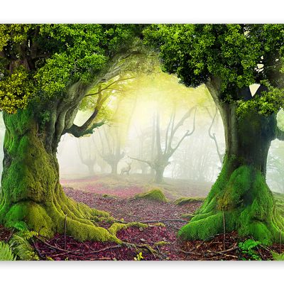 murando Self-Adhesive Forest Photo Wallpaper, 343 x 256 cm, Bedroom, Full HD