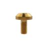 Yaruijia M6 Titanium Hex Socket Bolts, 12–35 mm, Gold, for Bicycle and Motorcycle Parts view 1