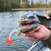 LMAB KFI Perch Shad 7 cm (KFI), Green Pumpkin Chartreuse view 3