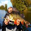 LMAB KFI Perch Shad 7 cm (KFI), Green Pumpkin Chartreuse view 4