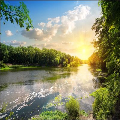 Muralo Nonwoven Photo Wallpaper Nature, River, Trees, Sun, Sky - 150 x 225 cm