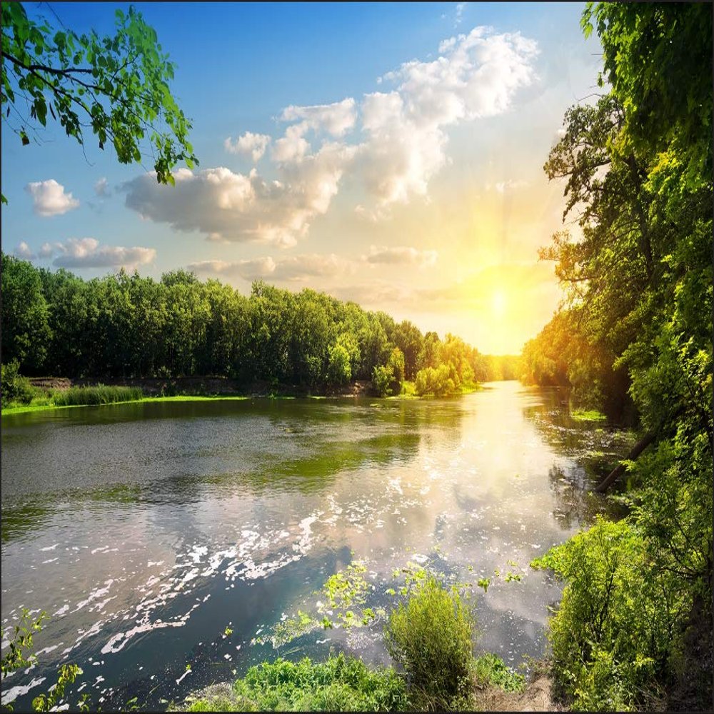 Muralo Nonwoven Photo Wallpaper Nature, River, Trees, Sun, Sky - 150 x 225 cm