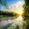 Muralo Nonwoven Photo Wallpaper Nature, River, Trees, Sun, Sky - 150 x 225 cm view 1