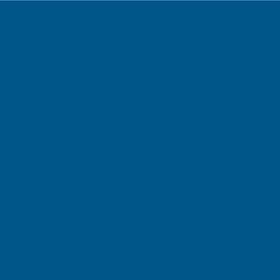 UPOL RAPTOR Pickup Truck Bed & Vehicle Coating 948 ml + 100 ml Acrylic Paint for Tinting (RAL 5019 Capri Blue)