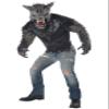 California Costumes Men's Full Moon Fury Costume, Gray, L-XL view 1