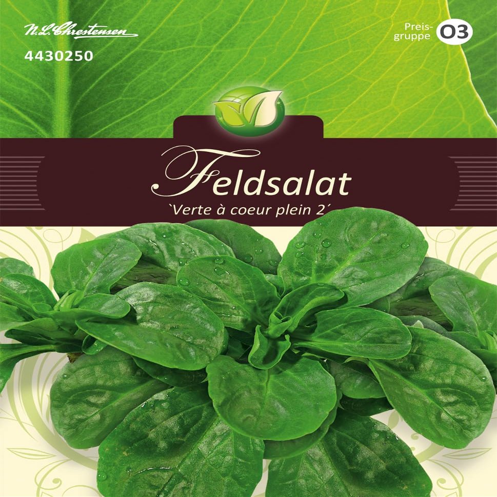 Lamb’s Lettuce, Verte Coeur Plein 2 (Dark Green, Full-Hearted 2)
