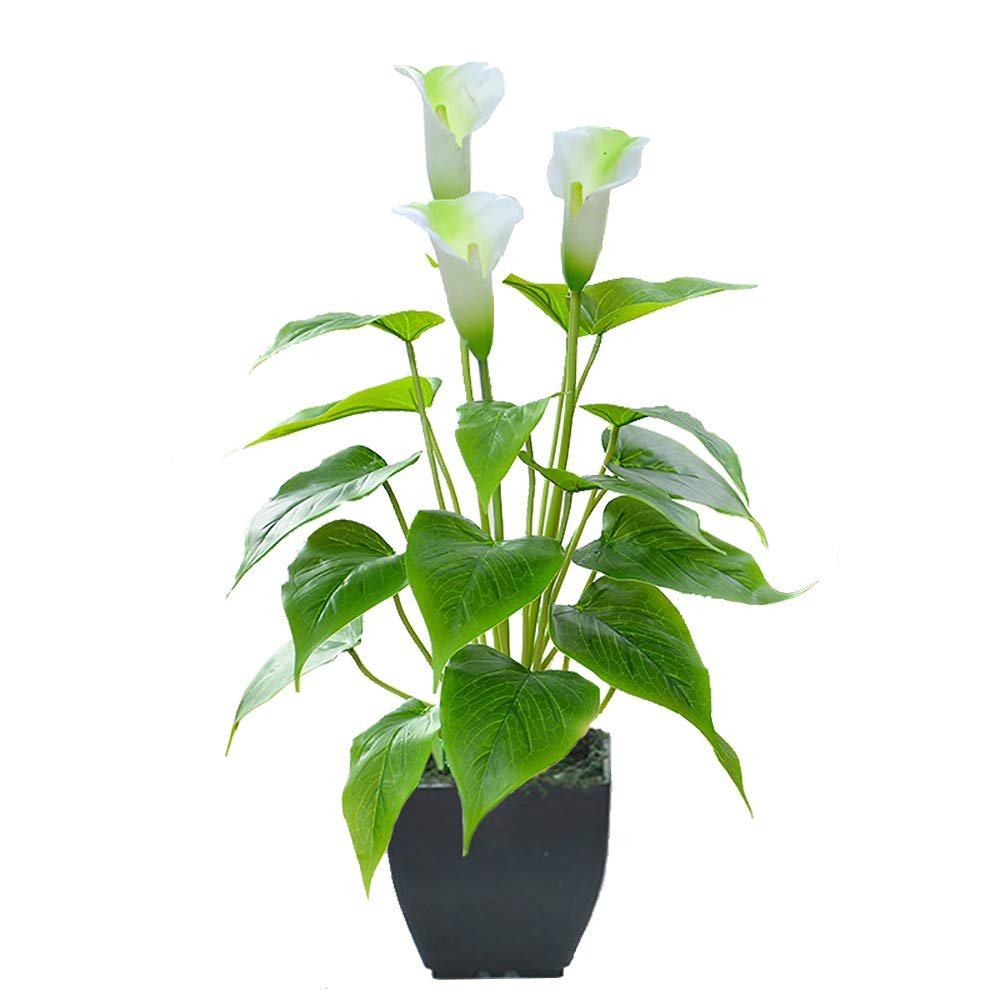 Beebel Artificial Calla Lily, Small Potted Plant with Black Pot, White Decorative Flower