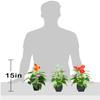 Beebel Artificial Calla Lily, Small Potted Plant with Black Pot, White Decorative Flower view 2