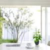 Beebel Artificial Calla Lily, Small Potted Plant with Black Pot, White Decorative Flower view 4