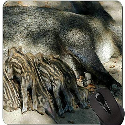 Funny Pig Design Mouse Pad with Stitched Edges
