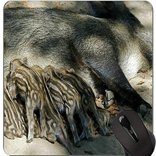 Funny Pig Design Mouse Pad with Stitched Edges