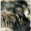 Funny Pig Design Mouse Pad with Stitched Edges view 1
