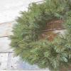 Triumph Tree Forest Frosted Wreath Green Tips 320 - 90 cm Diameter view 4