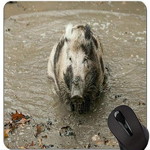 Animal Art Boar Year of the Pig Gaming Mouse Pad