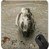 Animal Art Boar Year of the Pig Gaming Mouse Pad view 1