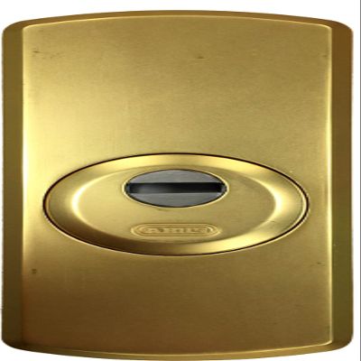 High-Security Protective Escutcheon, Matte Brass