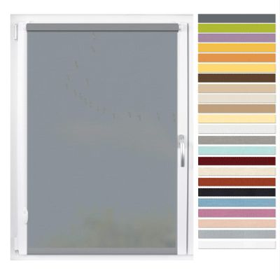 EFIXS Mini Privacy Roller Blind, Gray (10686), 50 x 150 cm (W x H), No Drilling