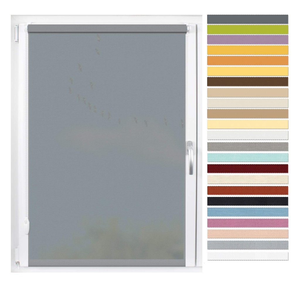 EFIXS Mini Privacy Roller Blind, Gray (10686), 50 x 150 cm (W x H), No Drilling