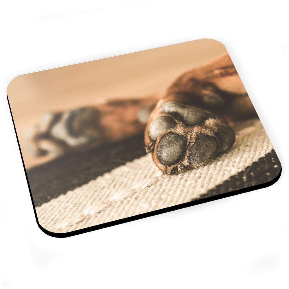 Fabulous Mouse Pad with Close-Up Dog Paws, Cushion, S