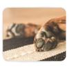 Fabulous Mouse Pad with Close-Up Dog Paws, Cushion, S view 2