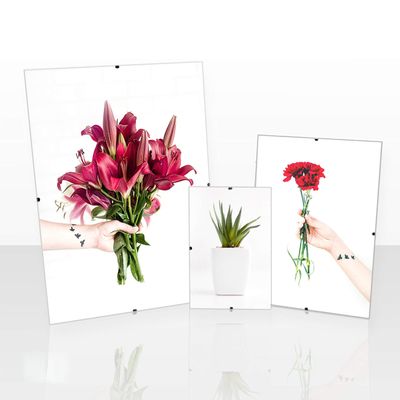 Clippo Deluxe Frameless Picture Frame, 21 x 26 cm, Special-Format Picture Holder with White Background and Clear Acrylic Glass
