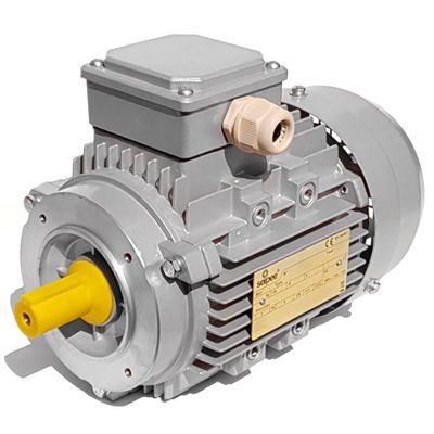 Single-Phase Electric Motor 0.55 kW (0.75 HP), 2-Pole, 2,800 RPM, Mec71 B14, Seipee