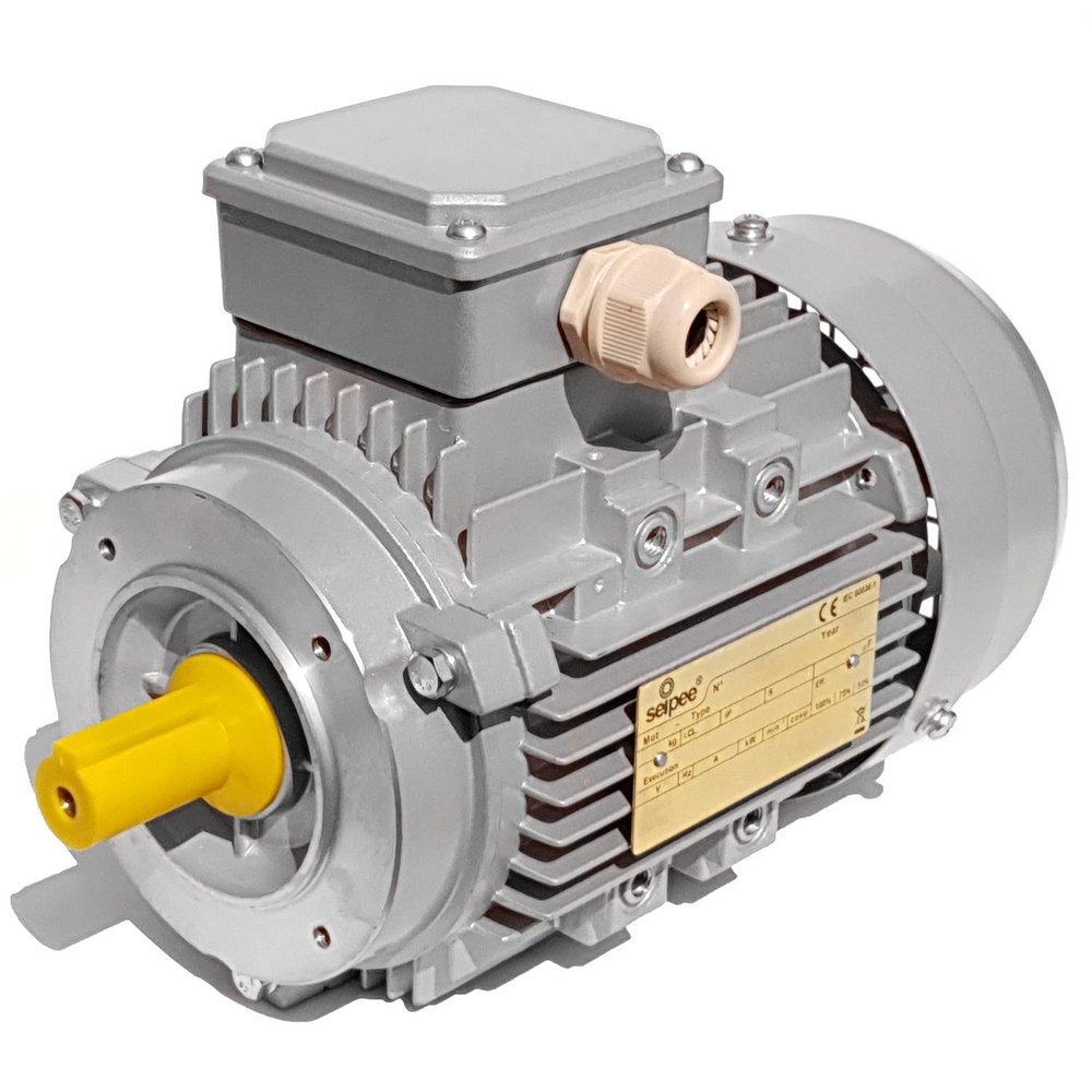 Single-Phase Electric Motor 0.55 kW (0.75 HP), 2-Pole, 2,800 RPM, Mec71 B14, Seipee