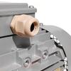 Single-Phase Electric Motor 0.55 kW (0.75 HP), 2-Pole, 2,800 RPM, Mec71 B14, Seipee view 4