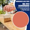 Glossy PU Wood Protection Paint, Salmon Orange RAL 2012, 20 L view 2