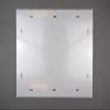 Clippo Deluxe Frameless Poster Frame 25 x 36 cm, White Backing, 1 mm Anti-Reflective Acrylic Glass view 2
