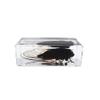Rainbow_Road Real Black Cicada Specimen Desk Paperweight view 3