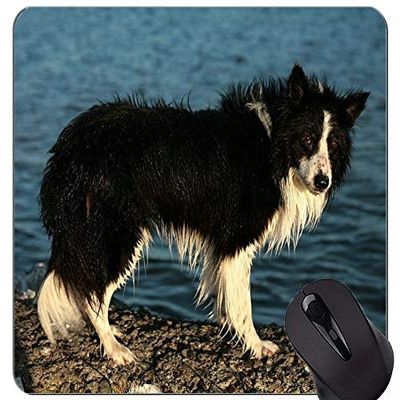 Cute Puppy on the Ground Mouse Pad, Collie Design for Gaming and Office