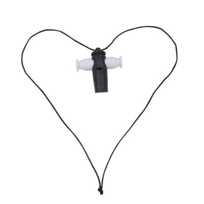 VOANZO Stainless Steel Sports Whistle with Lanyard, Loud Crisp Sound