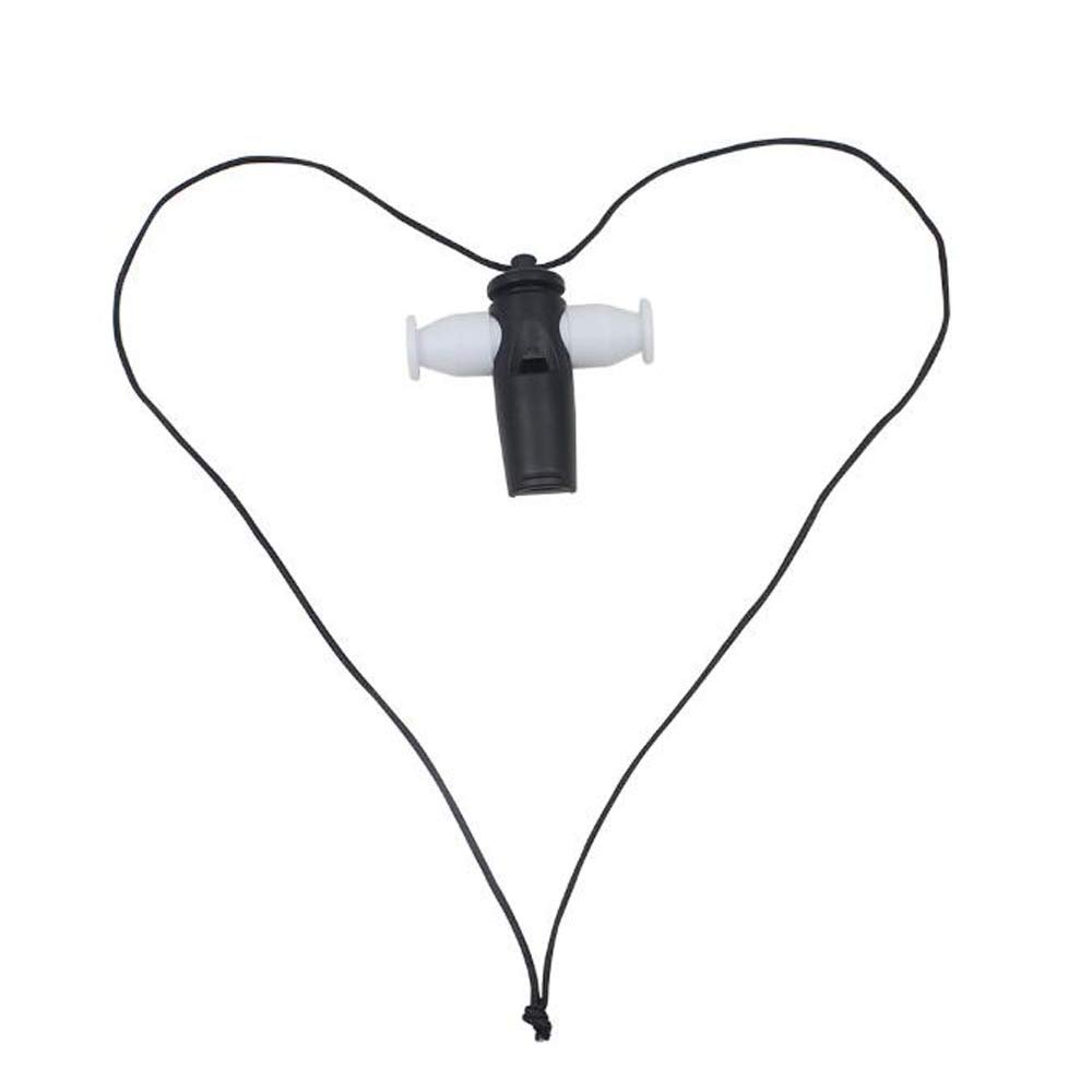 VOANZO Stainless Steel Sports Whistle with Lanyard, Loud Crisp Sound