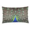 Linomo Peacock Feather Decorative Pillow Cover 40 x 60 cm view 1