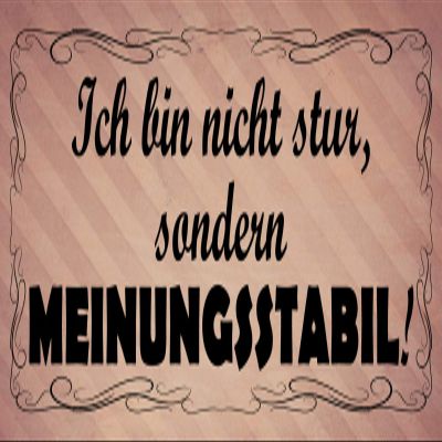 Schatzmix Metal Sign “I'm Not Stubborn, I'm Firm in My Opinions” 27 x 10 cm