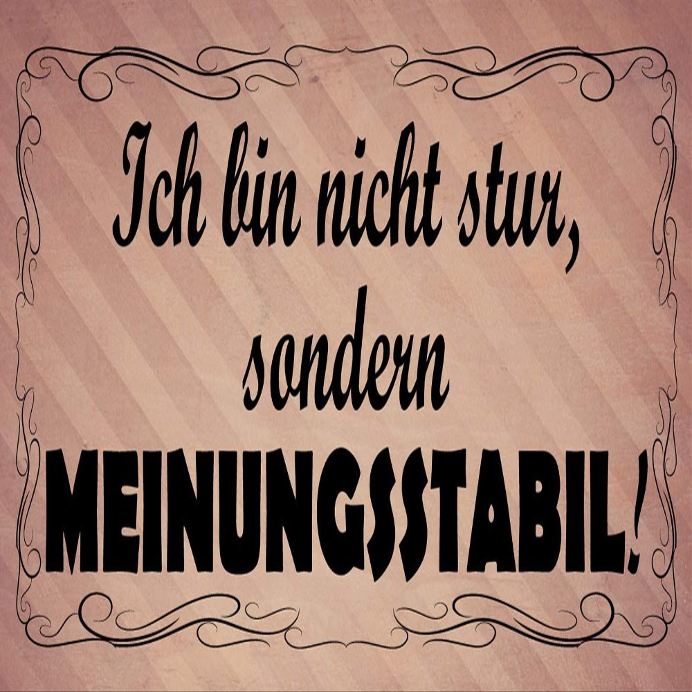 Schatzmix Metal Sign “I'm Not Stubborn, I'm Firm in My Opinions” 27 x 10 cm