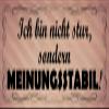 Schatzmix Metal Sign “I'm Not Stubborn, I'm Firm in My Opinions” 27 x 10 cm view 1