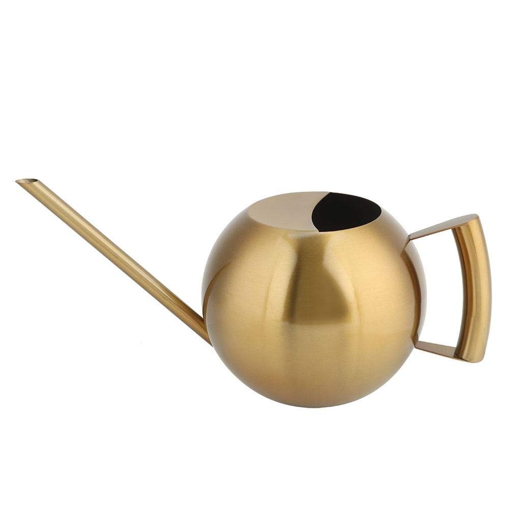 TOPINCN 1L Stainless Steel Watering Can with Long Spout, Gold