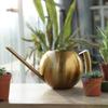 TOPINCN 1L Stainless Steel Watering Can with Long Spout, Gold view 4