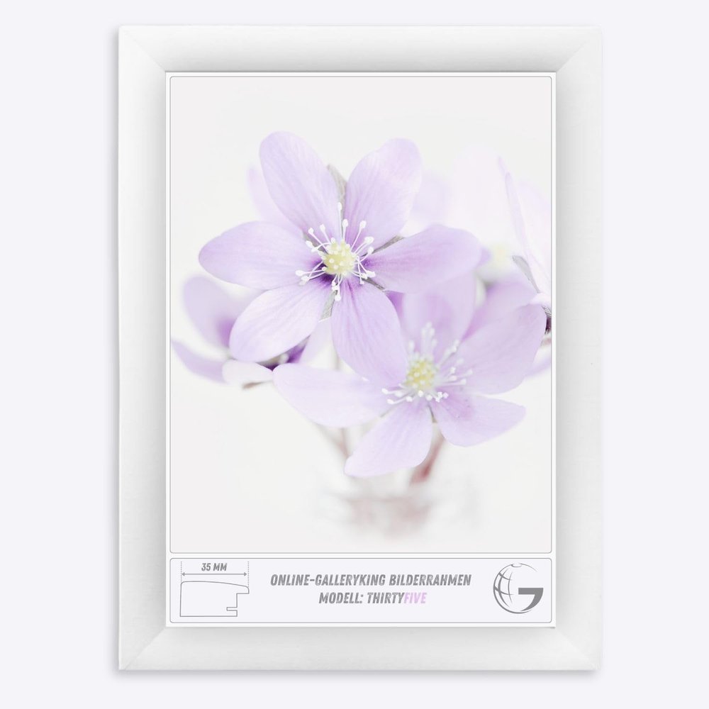 Online-GalleryKing OGK THIRTYFIVE Picture Frame 45 x 60 cm, Matte White, Anti-Reflective Glazing, HDF Backing