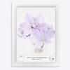 Online-GalleryKing OGK THIRTYFIVE Picture Frame 45 x 60 cm, Matte White, Anti-Reflective Glazing, HDF Backing view 1