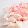 artplants.de Artificial Peony Blossom Megan, Floating, Pink, 15 cm view 2