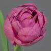 artplants.de Artificial Tulip Romana, Pink, 45 cm, 6 cm view 3