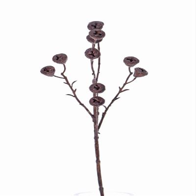 artplants.de Artificial Eucalyptus Branch 'Basilius' with Fruits, Brown, 60 cm