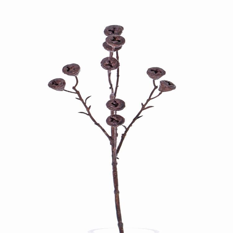 artplants.de Artificial Eucalyptus Branch 'Basilius' with Fruits, Brown, 60 cm