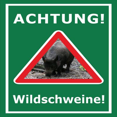 Melis-Folienwerkstatt Beware of Wild Boars Sign, 15 x 10 cm, 3 mm Rigid Foam, Multiple Sizes and Materials