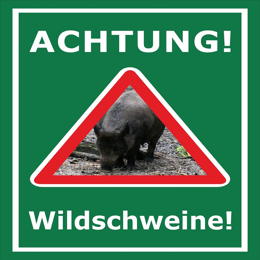 Melis-Folienwerkstatt Beware of Wild Boars Sign, 15 x 10 cm, 3 mm Rigid Foam, Multiple Sizes and Materials