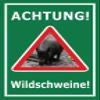 Melis-Folienwerkstatt Beware of Wild Boars Sign, 15 x 10 cm, 3 mm Rigid Foam, Multiple Sizes and Materials view 1